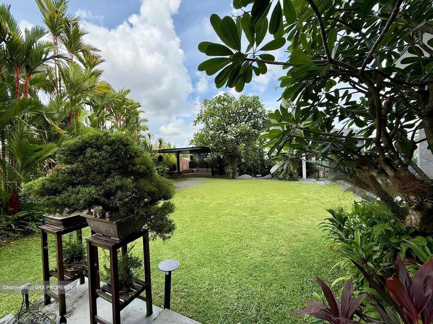 Braddell Heights Estate (D13), Detached #489599931